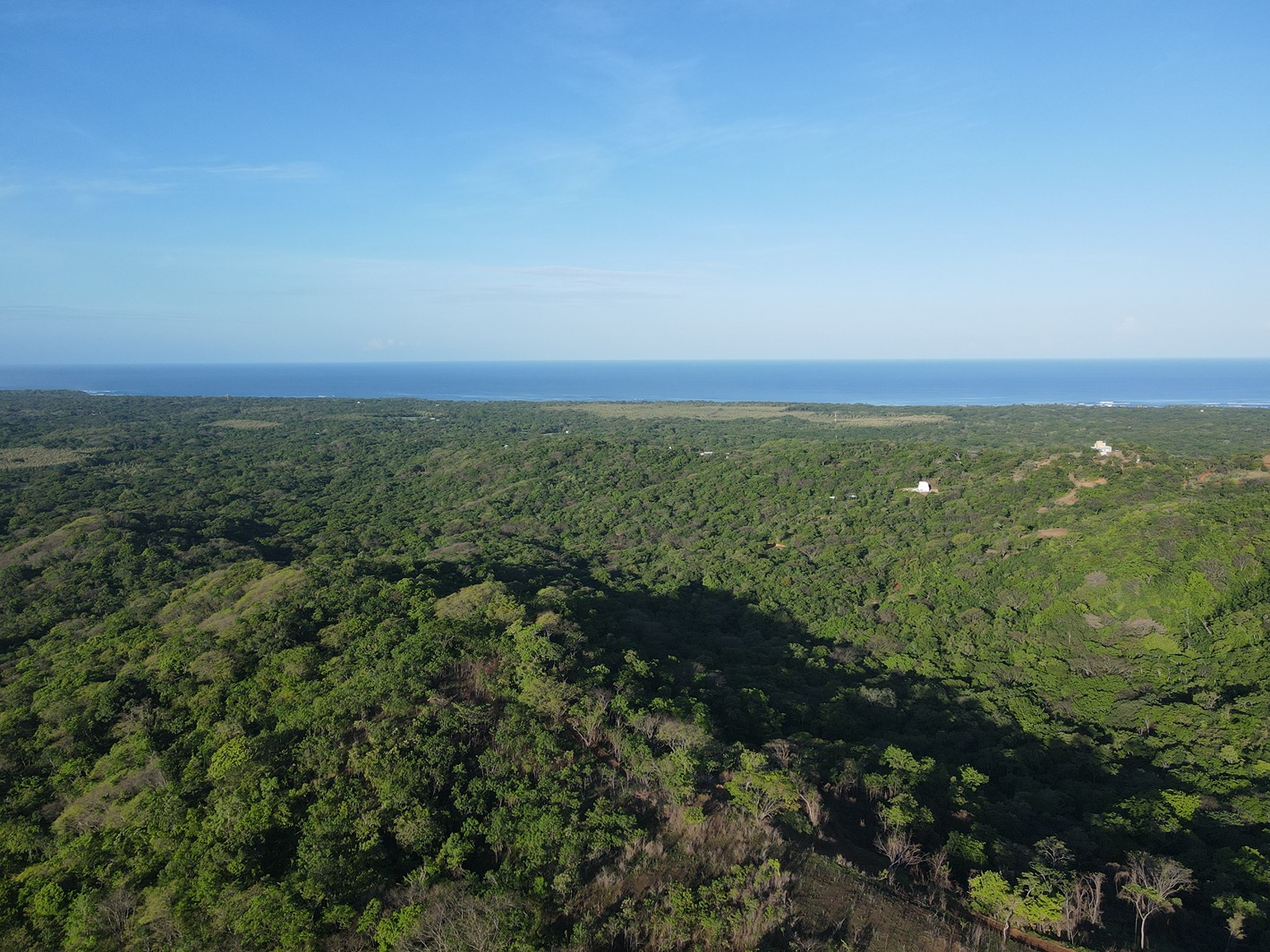 Jungle Sanctuary in the Hills of Playa Negra